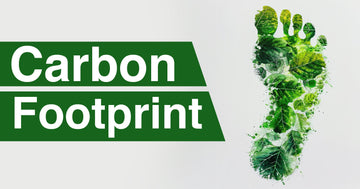 The Most Significant Factors Influencing Carbon Footprints